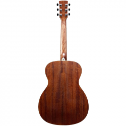 Ibanez Artwood AC340 Open Pore Natural