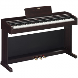 Yamaha YDP-145 Arius Dark Rosewood