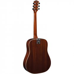 Eko Ranger VI VR Natural Top Stained