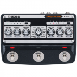 Boss DM-101