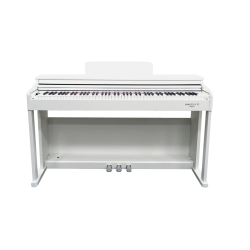Echord DPX100 Polished White