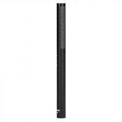 Rode NTG-4+