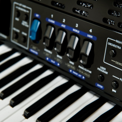 Roland FR-1X Black