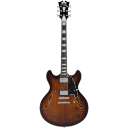 D'angelico Premier DC Brown Burst