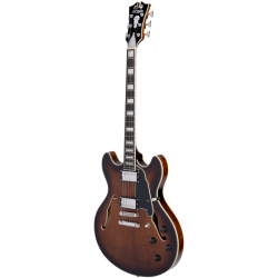 D'angelico Premier DC Brown Burst