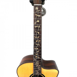 Crafter Professional STG J-27CE PRO