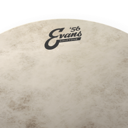 Evans 13" Calftone Tom Drumhead TT13C7