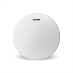 Evans 14" Genera G2 Coated B14G2