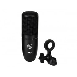 AKG P120