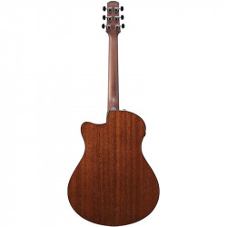 Ibanez AAM300CE Natural