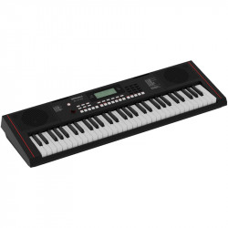 Roland E-X10