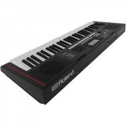 Roland E-X10