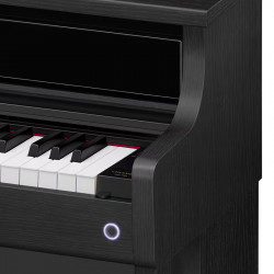 Casio AP-750 Black Celviano + Panchetta in OMAGGIO!