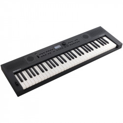 Roland GO:KEYS 5 Graphite