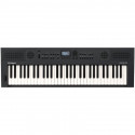 Roland GO:KEYS 5 Graphite