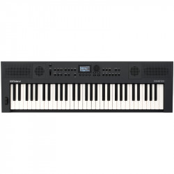 Roland GO:KEYS 5 Graphite