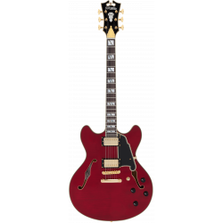 D'angelico Excel DC Trans...