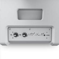 LD Systems MAUI 11 G2 W
