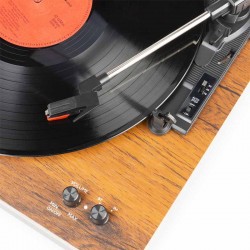 Fenton RP165 BT Wood