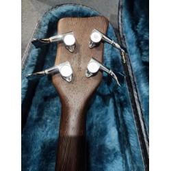 WARWICK FORTRESS ONE USATO