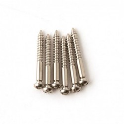PRS Tremolo Bridge Screws...