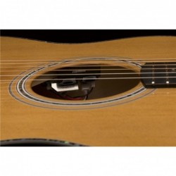 PRS SE A50E Black Gold Burst