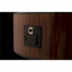 PRS SE A50E Black Gold Burst