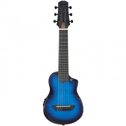 Ibanez AUP10FMNE...