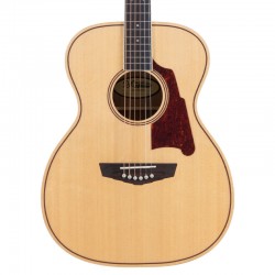 D'angelico Premier Tammany Natural