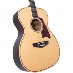 D'angelico Premier Tammany Natural