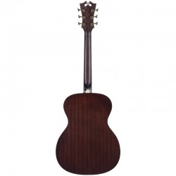 D'angelico Premier Tammany Aged Burst