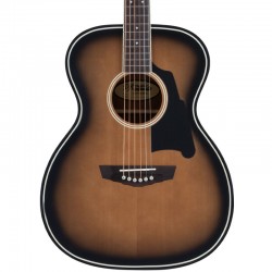 D'angelico Premier Tammany Aged Burst