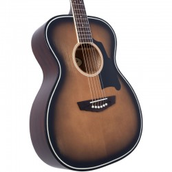 D'angelico Premier Tammany Aged Burst