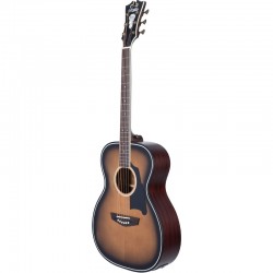 D'angelico Premier Tammany Aged Burst