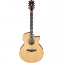 Ibanez AE170NTR Natural