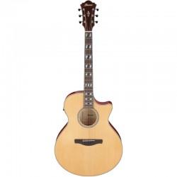 Ibanez AE170NTR Natural