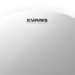 Evans 8" UV1 Coated Tom Drumhead