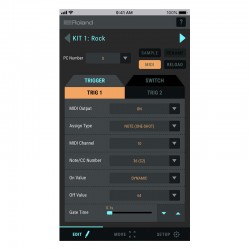 Roland TM-1 Trigger Module