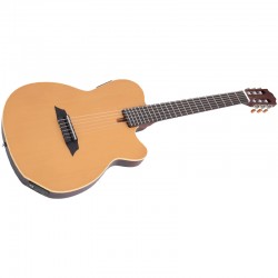 Sire Larry Carlton G5N Natural Satin