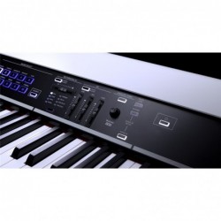 Korg GRANDSTAGE X - GSX