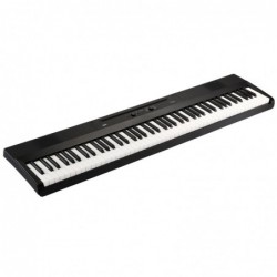 Korg Liano Pianoforte...