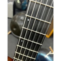 Godin Multiac Nylon Deluxe Usata