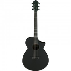 Ibanez AEWC621-BOT Black Out