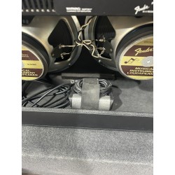 Fender Champion 100 Usato