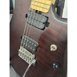 Sterling Petrucci Usato