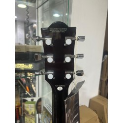 Eko LS300V Gold Usato