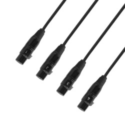 Adam Hall 4 Star Catbox XF3