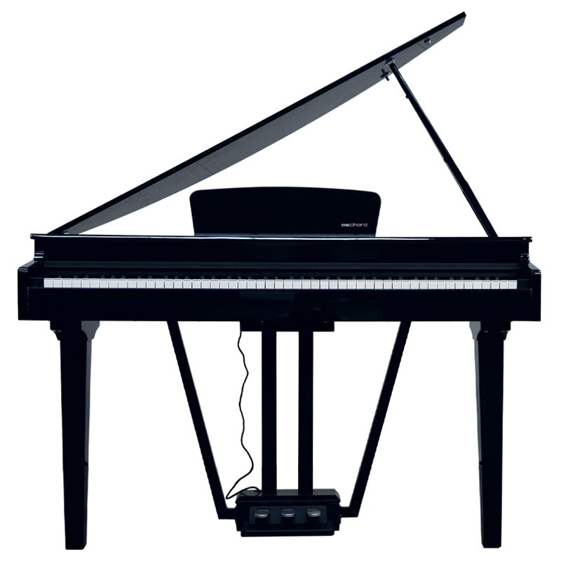 Echord GP10BK Black