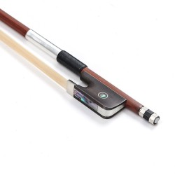 Stentor VLA1505PE Viola Student II 15 1/2"