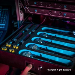 Adam Hall 874E02MI Rack Inlay 02 Microphone